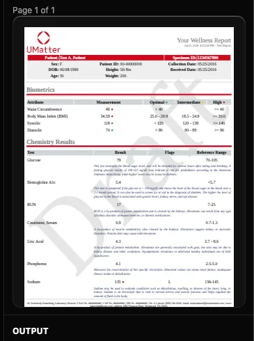 Embedded PDF preview rendered from a base64 value inside an OBX-5 segment.